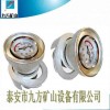 臨汾市DZ-CL-2單體支柱測力計(jì)