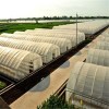 連棟薄膜溫室遮陽(yáng)系統(tǒng)整體材料施工溫室大棚設(shè)計(jì)施工