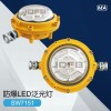 DGS40127L(A)煤礦井下照明燈40W